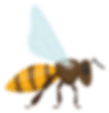 h1-image-slider-07-sl2.png h1-image-slider-07-sl2.png